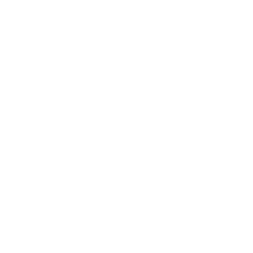Belgi Academy